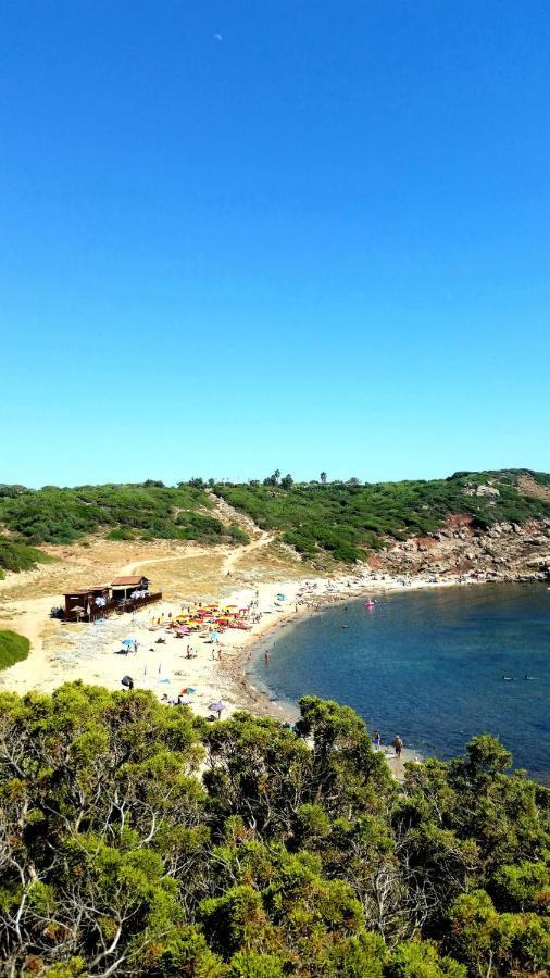 Agriturismo Porticciolo Porto Conte Exterior photo